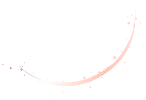 Wink Imagery Logo
